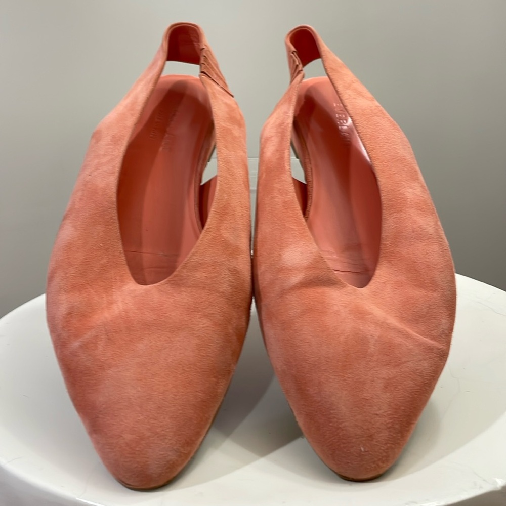 Everlane Coral Suede Pointed Toe Flats
